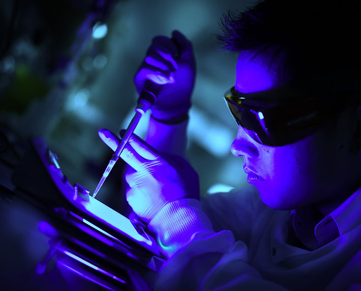 Protein analysis under UV illumination