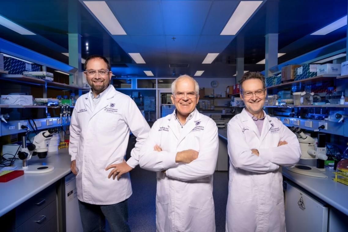 Professors Palpant, Smythe and King