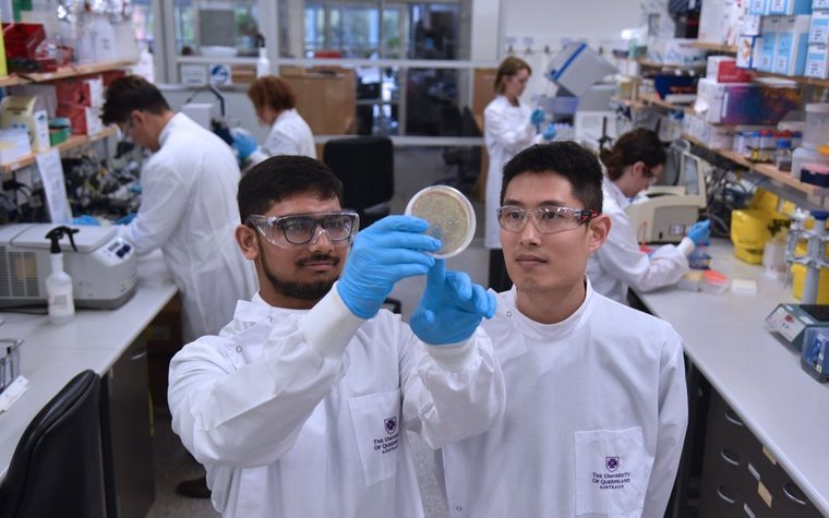 NBF researchers inspecting a culture plate during antibody discovery work
